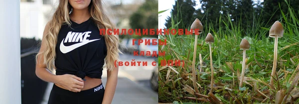 каннабис Краснотурьинск