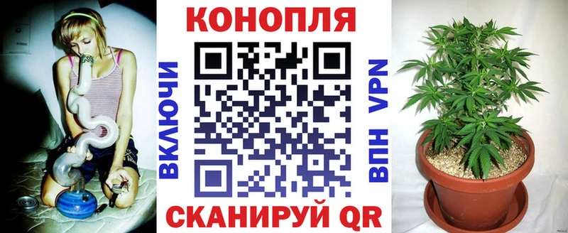 купить наркотик  Лодейное Поле  Бошки Шишки THC 21% 